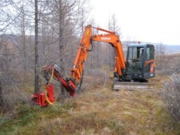 stínacia hlavice